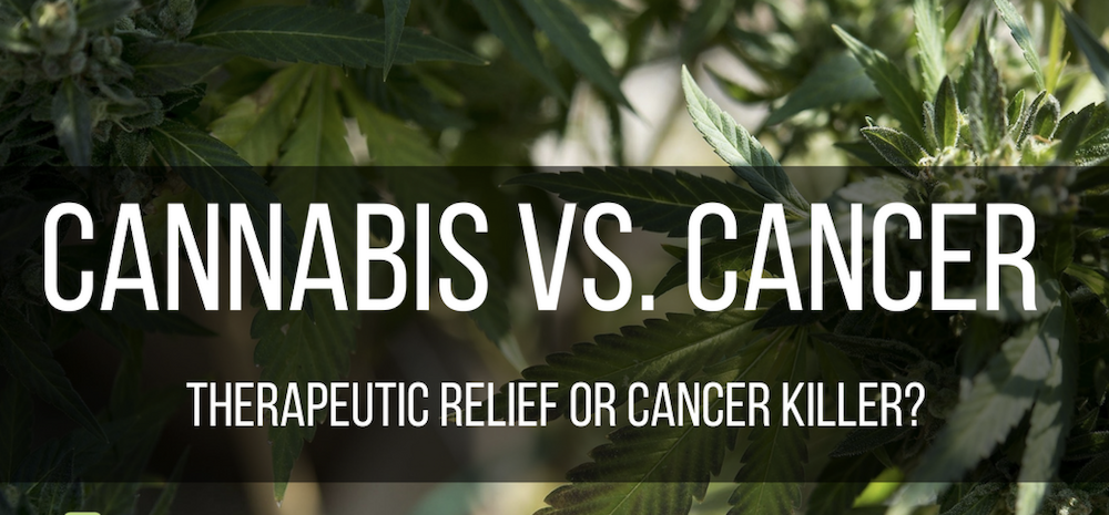 Cannabis_vs_Cancer_small.png