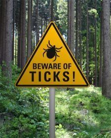 Beware_of_Ticks_sign.jpeg