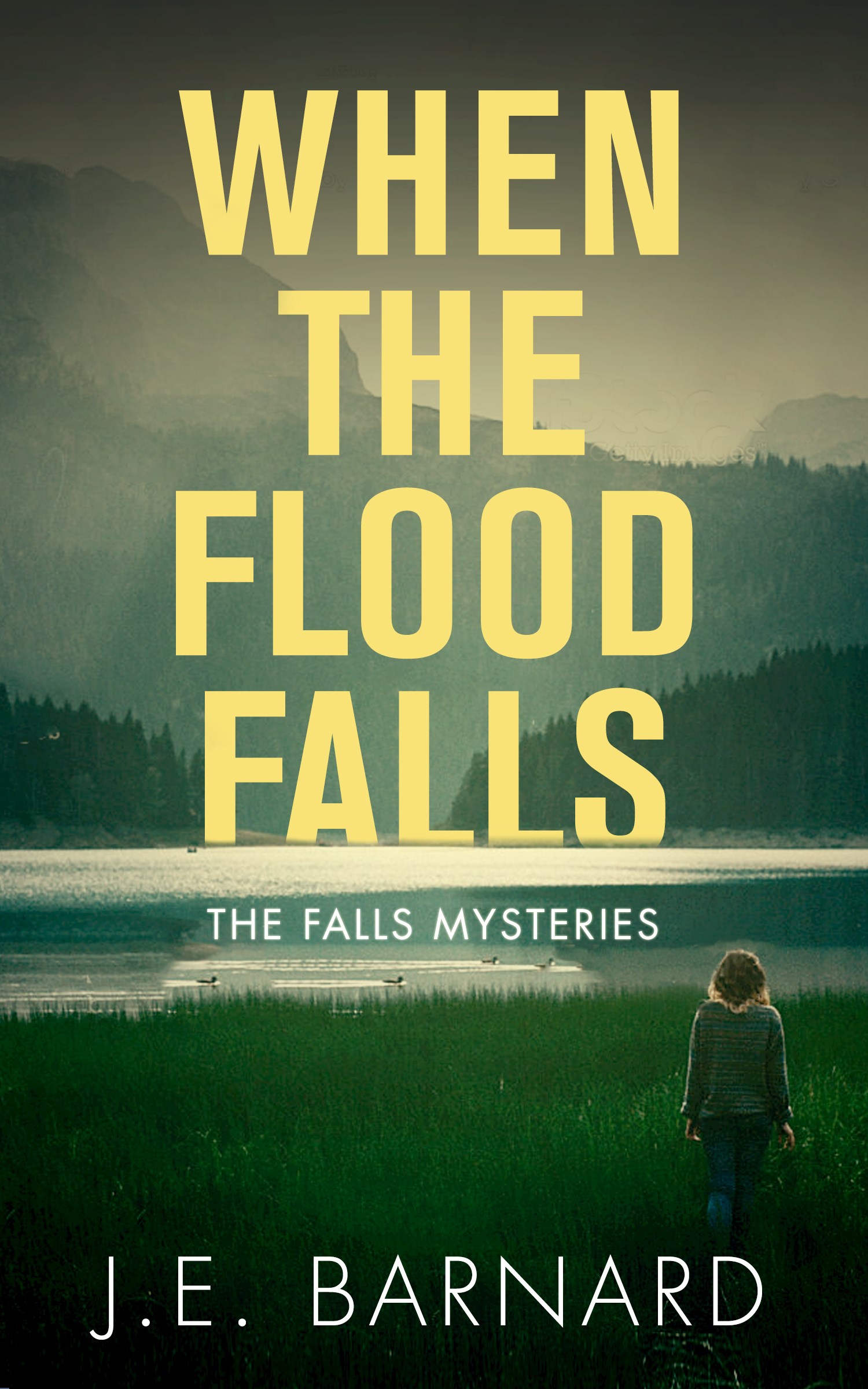 book_cover_-_When_the_Flood_Falls.jpg