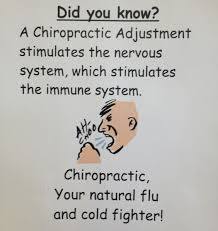 Chiro_impacts_immune_system.jpg